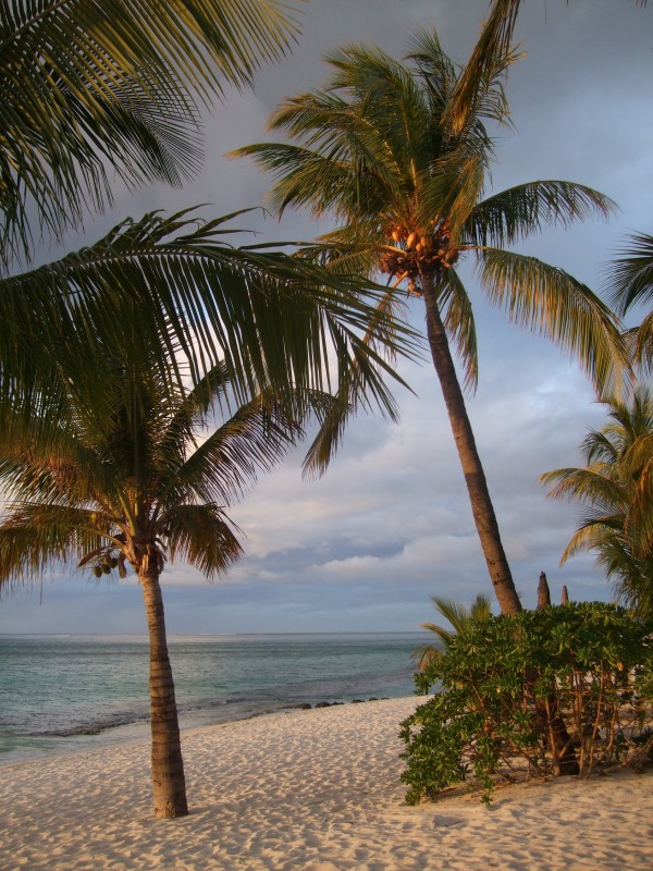 Mauritius 2010 - 0367 